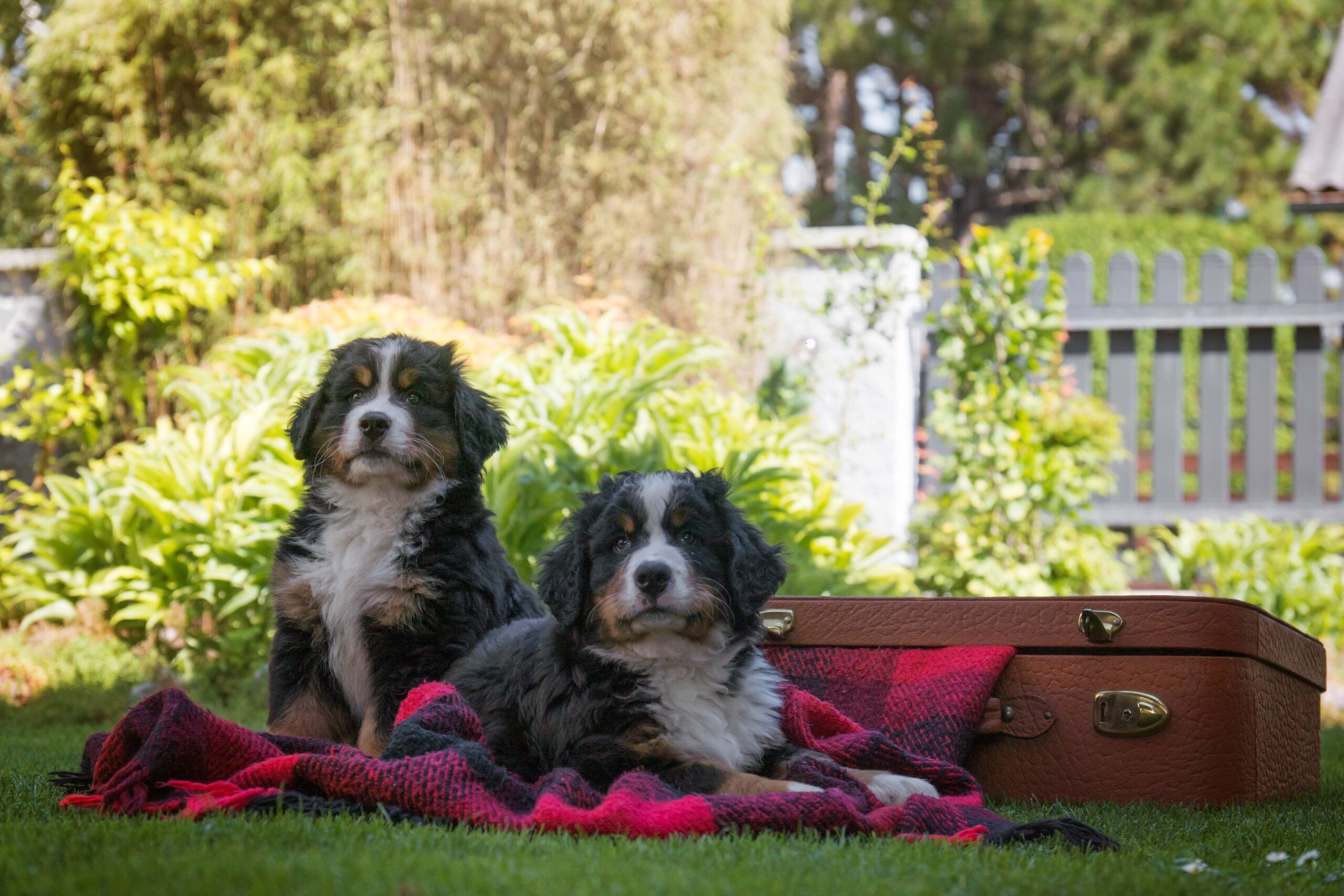 Elini & Eddie