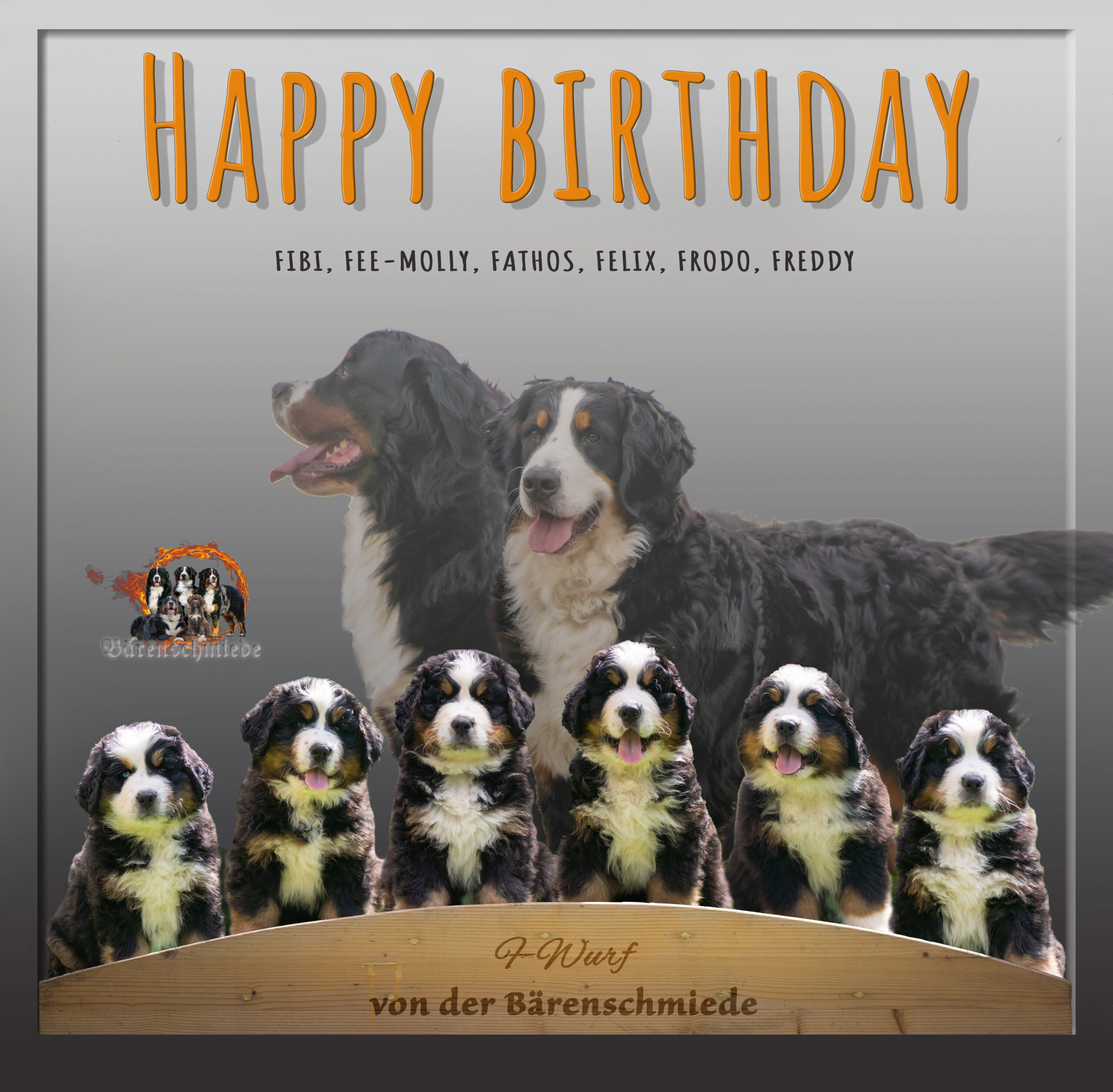 Happy Birthday ihr lieben Flöhe