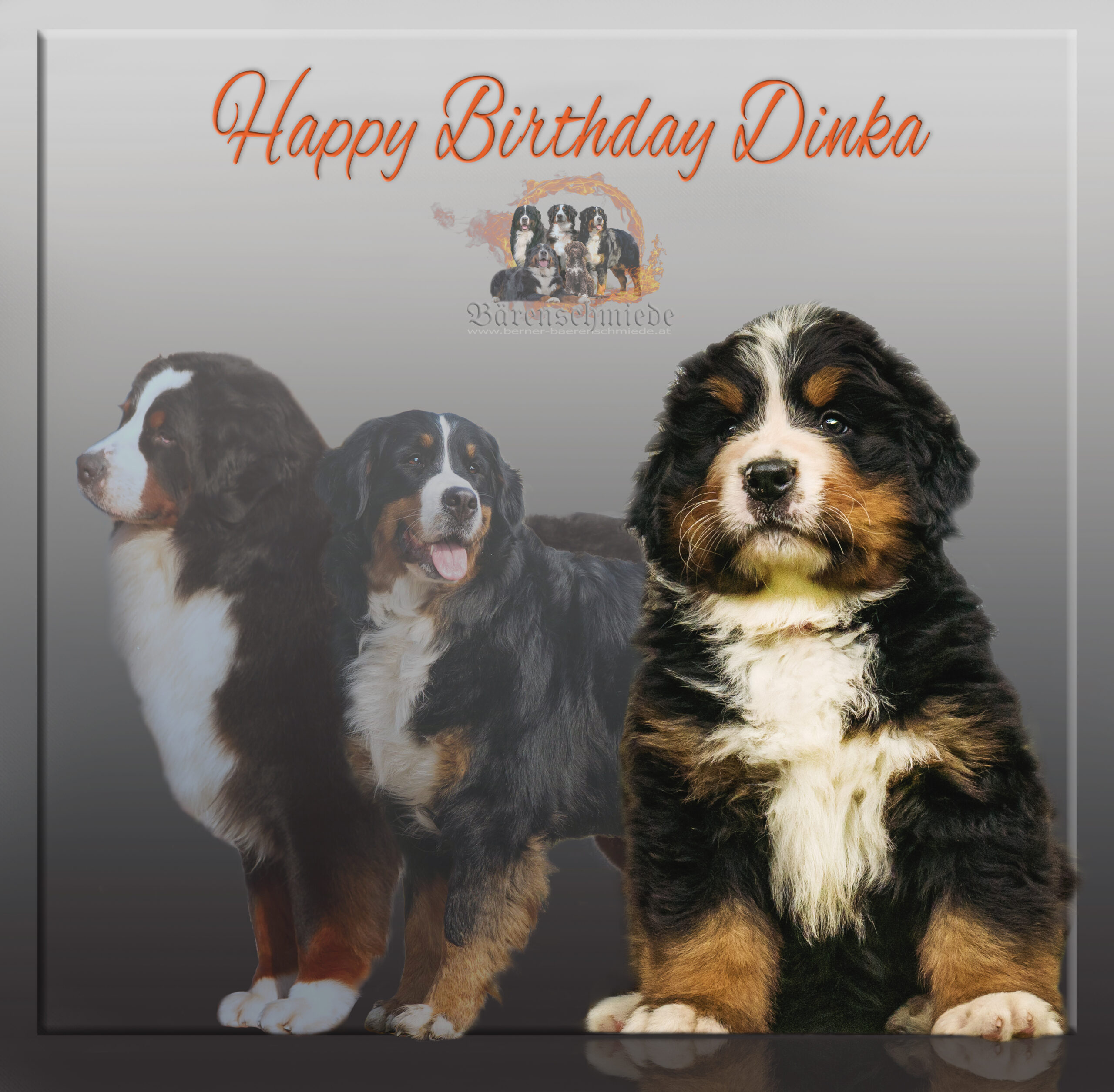 Happy Birthday Dinka