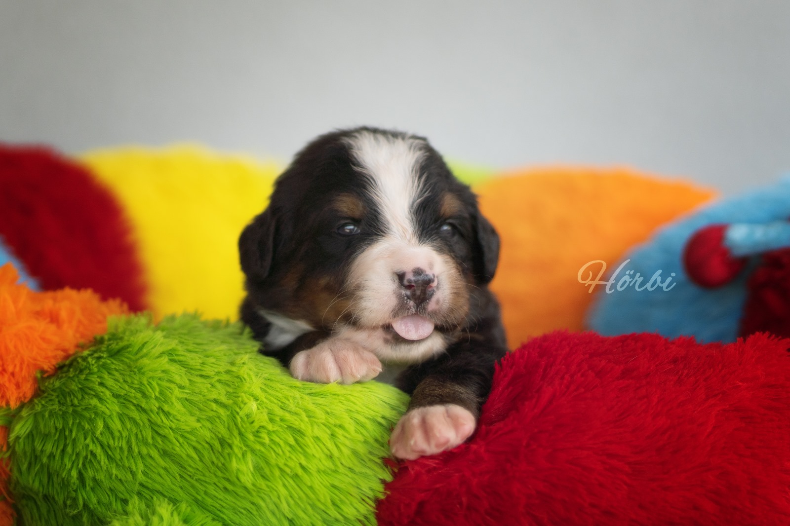 Neue Fotos 📸