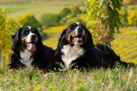 Amira mit Mama Josephine